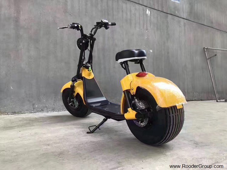 fat tire electric scooter from fat tire electric scooter factory manufacturer supplier exporter company Rooder Technology Limited (17)