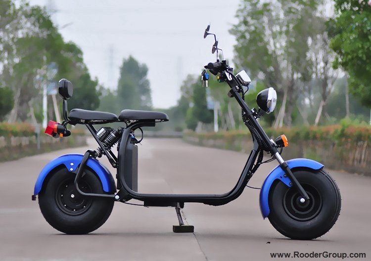 2018 EEC Approved City Coco Electric Scooter Es8004viii eec (7)