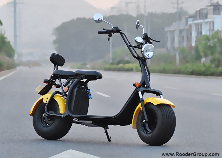2018 New EEC & COC Approved 1500W 60V Electric Scooter Citycoco from China Facotry (2)
