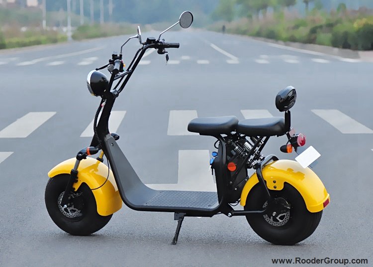 2018 New EEC & COC Approved 1500W 60V Electric Scooter Citycoco from China Facotry (3)