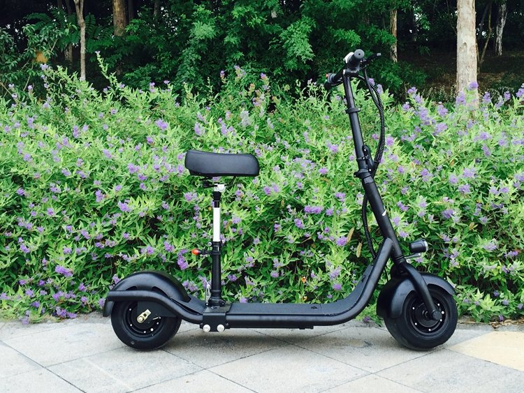 two wheel electric kick scooter with 10 inch fat tire big wheel from Rooder kick scooter factory manufacturer supplier and exporter