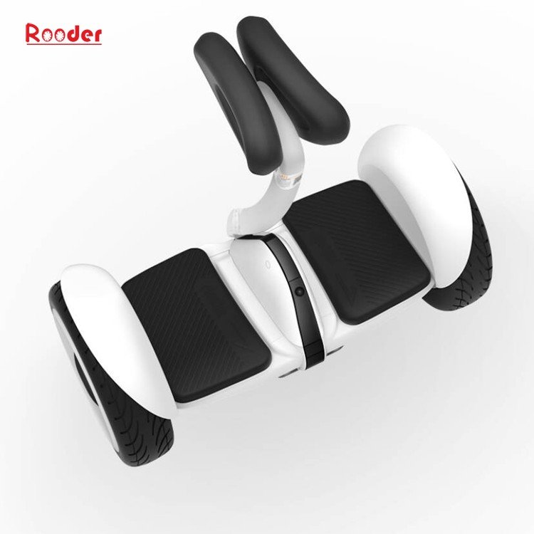 बिजुली स्कूटर r803m कारखाना आपूर्तिकर्ता निर्माता निर्यातक सन्तुलित दुई पाङ्ग्रा आत्म Rooder (6)