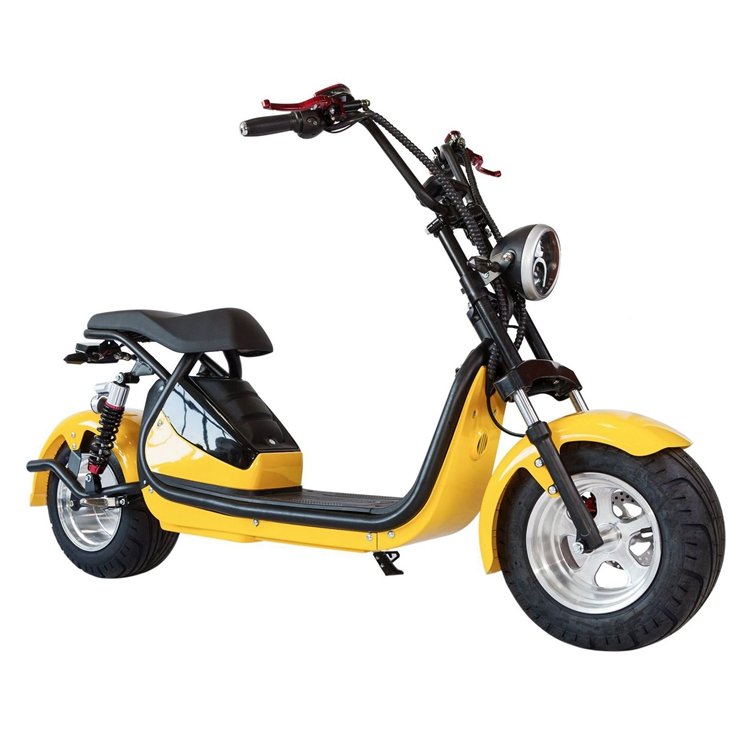 Citycoco European Warehouse Stock Citycoco Chopper Scooter Manufacturer Rooder Group (3)