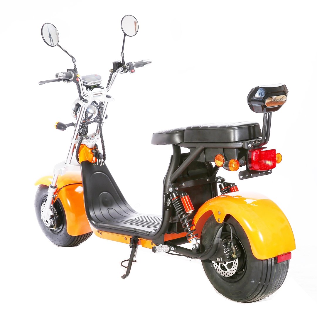 Citycoco omologu Rotta Rooder Caigiees T-Cruiser Harley scooter elettriku Homologuée Rotta (4)