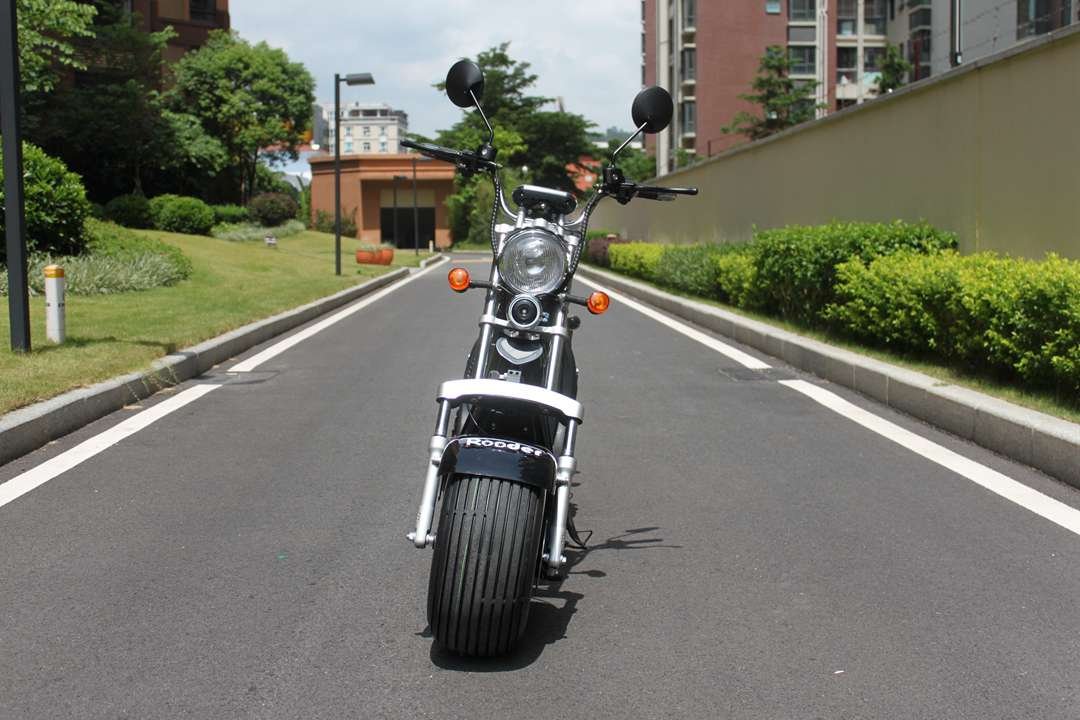 EEC COC citycoco electric scooter Rooder r804r from Rooder citycoco factory (26)