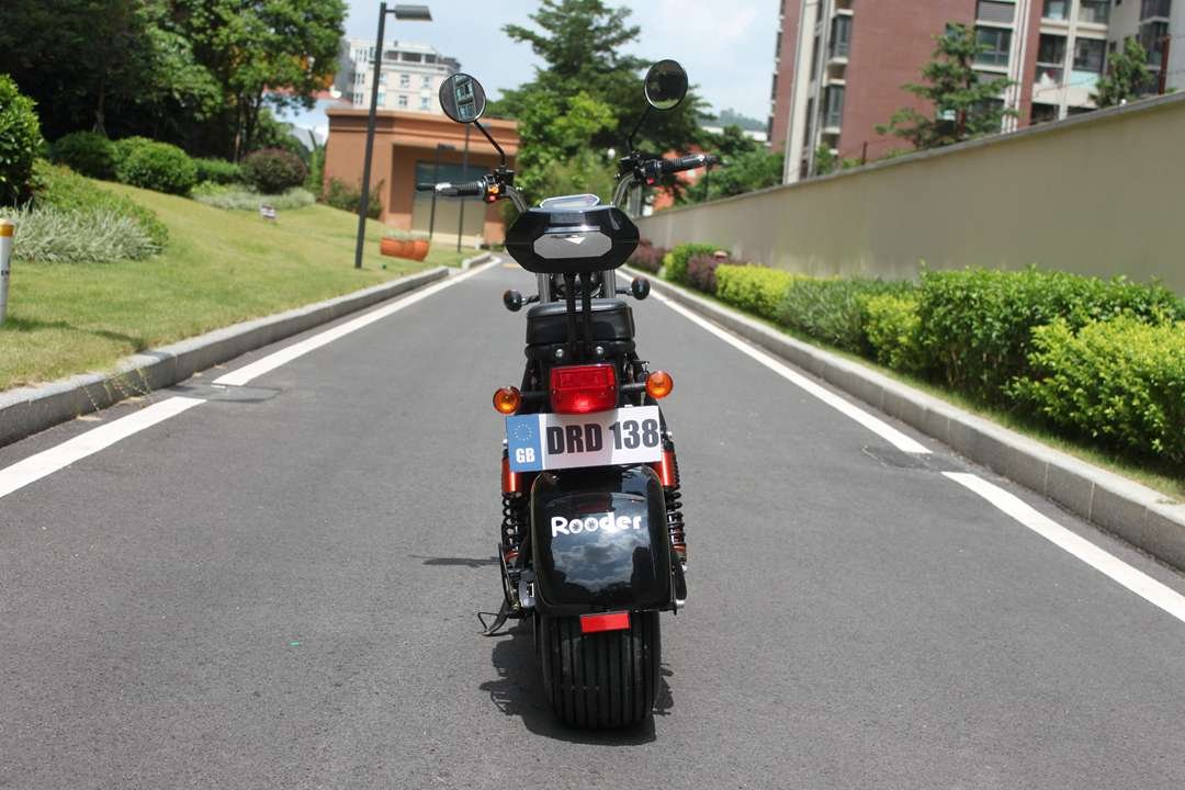 EEC COC citycoco electric scooter Rooder r804r from Rooder citycoco factory (27)