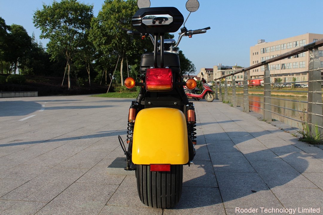 imvume eEC citycoco electric scooter Rooder coco isixeko r804r ukusuka Harley el inkampani scooter Rooder Technology Limited (4)