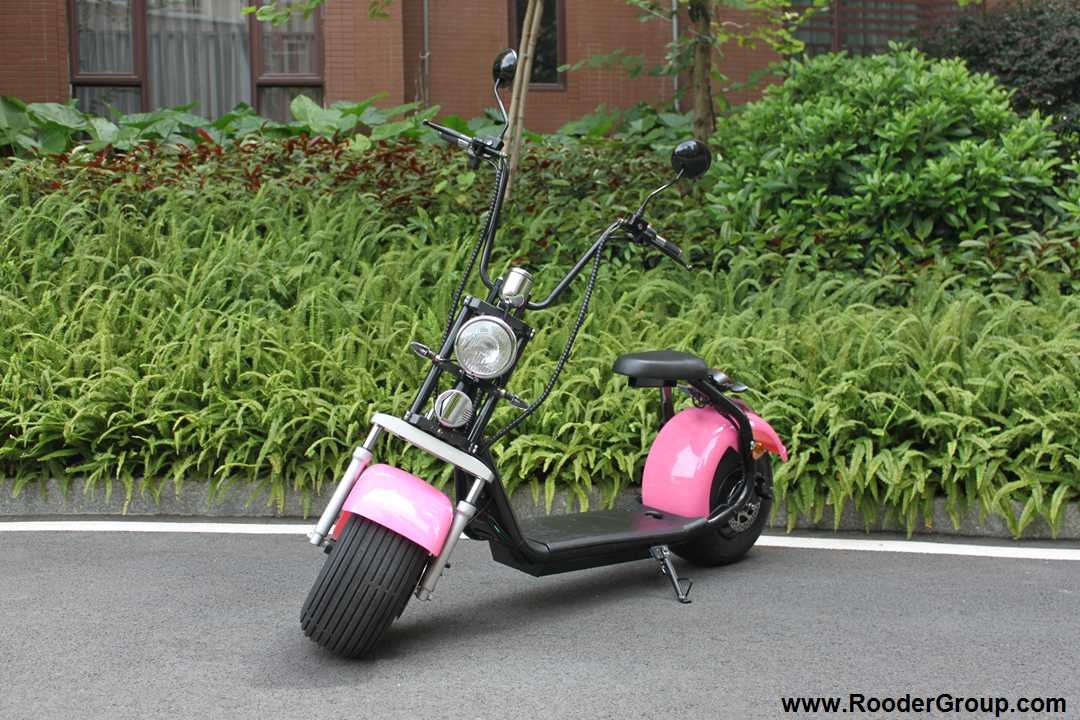 Most Popular 1000W 60V Electric Scooter Harley Citycoco ES8004 Rooder r804x (16)