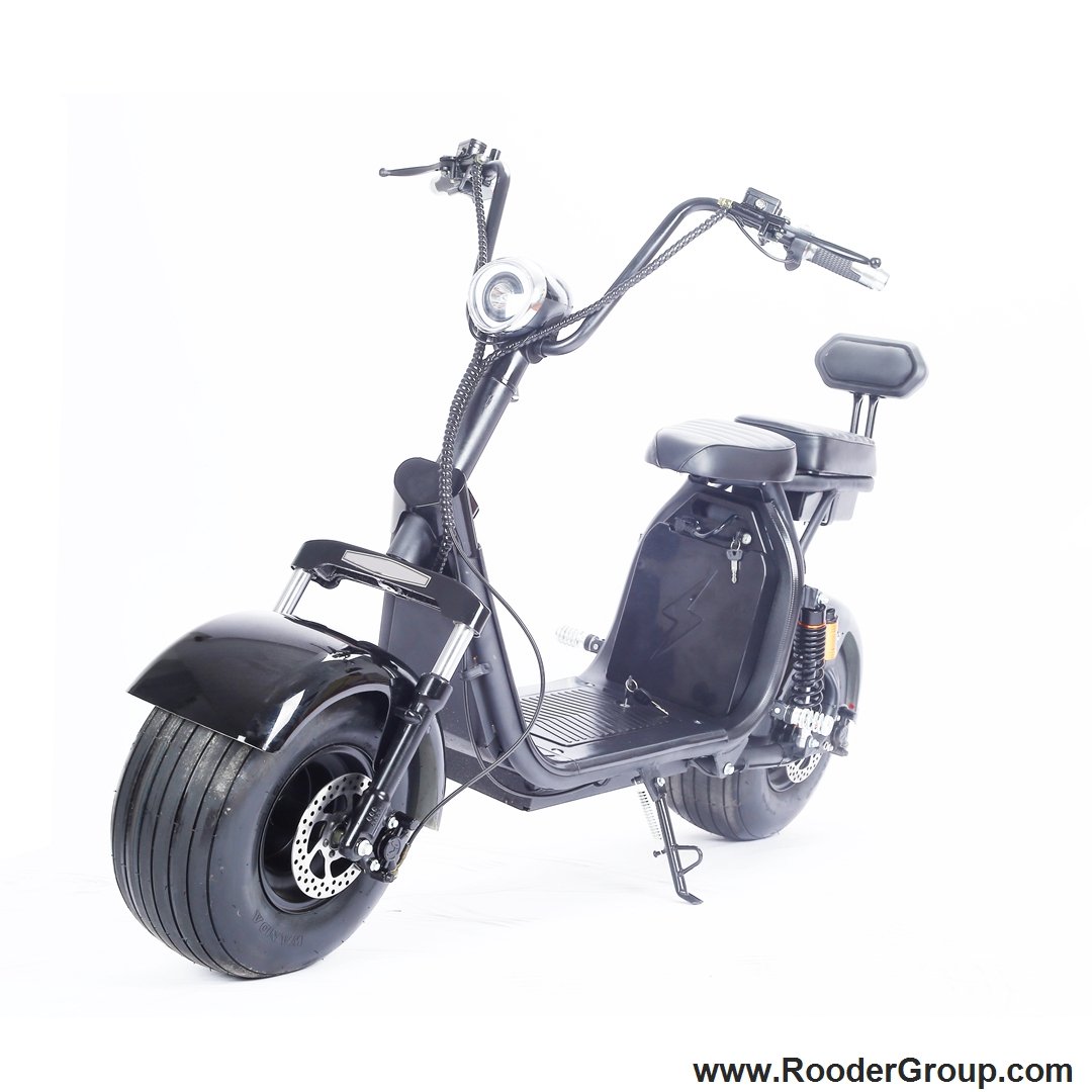 Rooder harley electric scooter with dual removable batteries wholesale price from rooder harley electric scooter manufacturer (1)