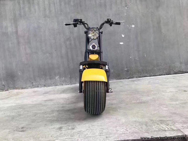fat tire electric scooter from fat tire electric scooter factory manufacturer supplier exporter company Rooder Technology Limited (16)