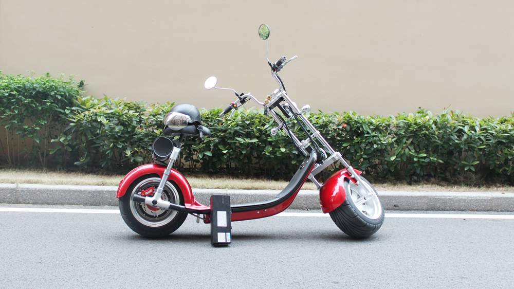 citycoco electric chopper with eec coc road legal (5)
