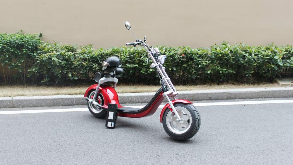 citycoco electric chopper with eec coc road legal (6)