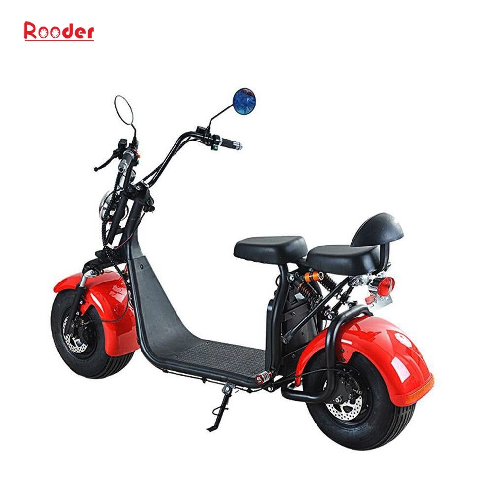 citycoco scooter  (5)