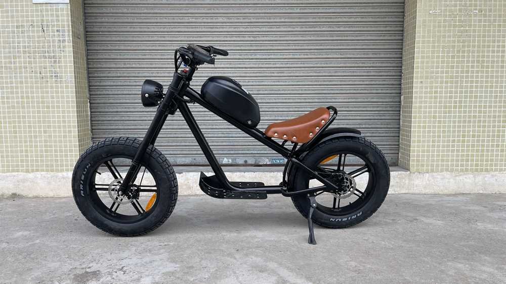 ebike Rooder cb01b 48v 1000w 40a removable battery wholesale price (8)