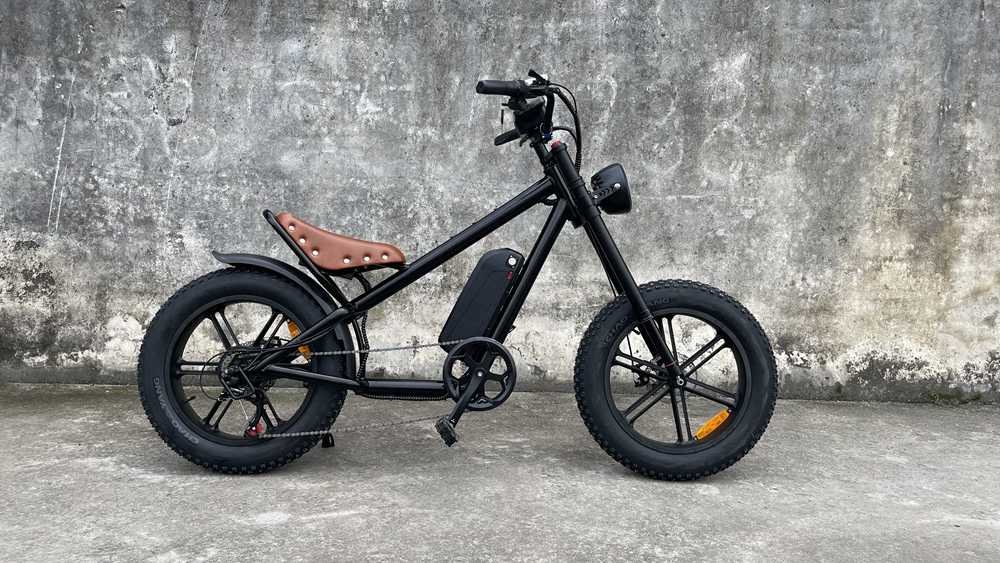 electric bicycle Rooder cb01a 48v 500w 10a for sale (4)