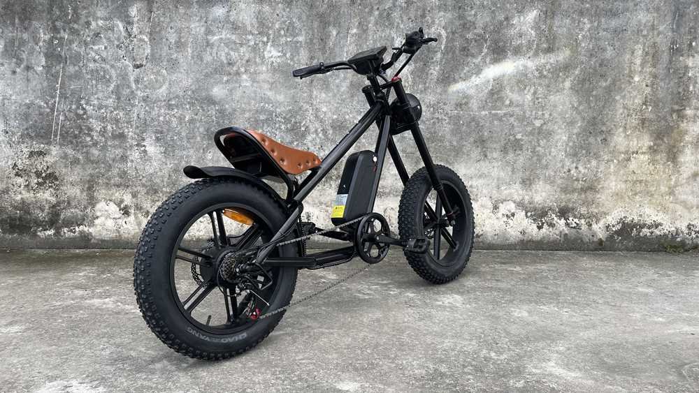 electric bicycle Rooder cb01a 48v 500w 10a for sale (6)