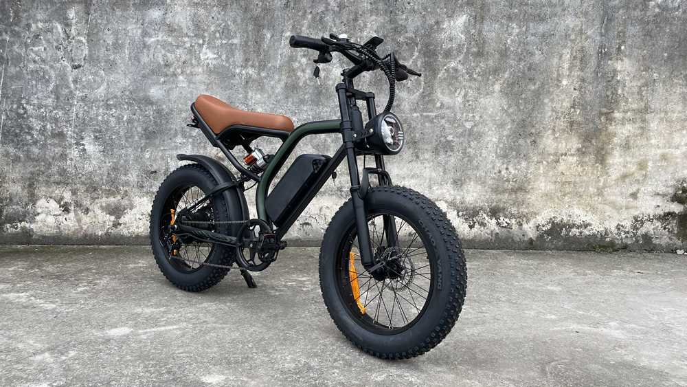 electric bicycle Rooder cb02 48v 500w 20a for adults for sale (7)