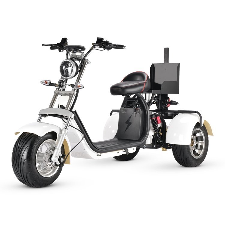 fat tire golf scooter 3 wheel electric scooter citycoco cart  (1)