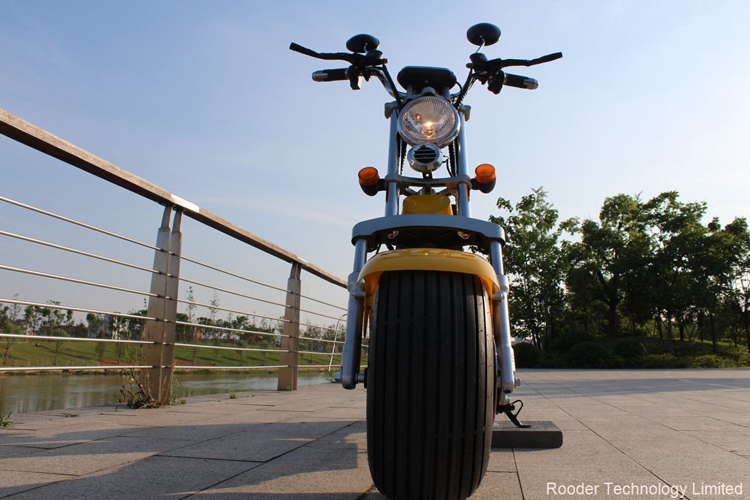CEE grupo de aprobación Rooder Technology HK shansu Harley Scooter limitado (6)