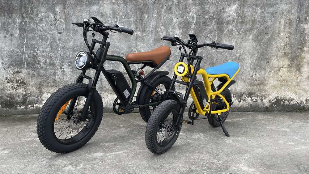 mini electric bike Rooder cb02 48v 350w 10a for teenagers cheap price (8)