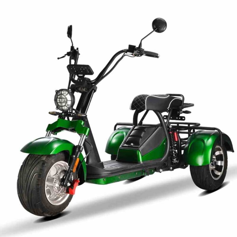 3 Wiel Elektrische Scooter Voor Volwassenen Rooder hm3 2000w 40ah