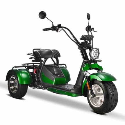 3 pyörän sähköinen skootteri aikuisille Rooder hm3 2000w 40ah 40ah