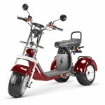 3-wiel elektrische scooter Rooder r804t9 4000w 40ah