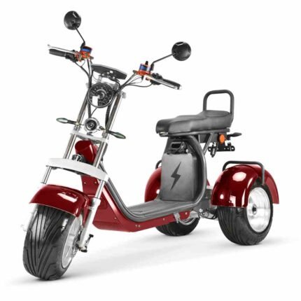 Scooter eléctrico de 3 ruedas Rooder r804t9 4000w 40ah