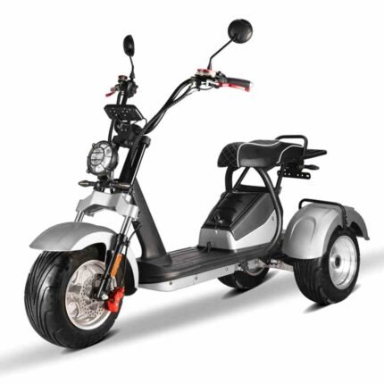 Scooter de 3 rodas Rooder hm7 4000w 40ah