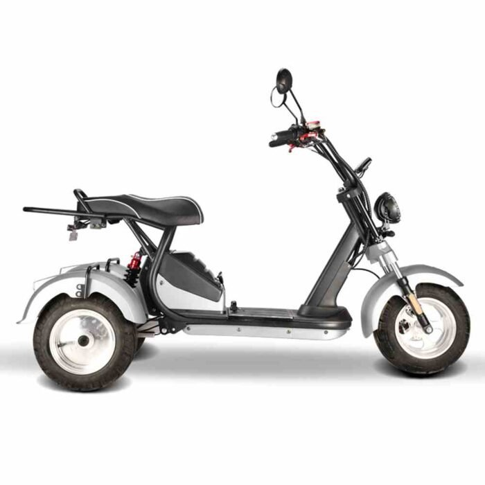 3 Wheel Scooter Rooder hm7 4000w 40ah