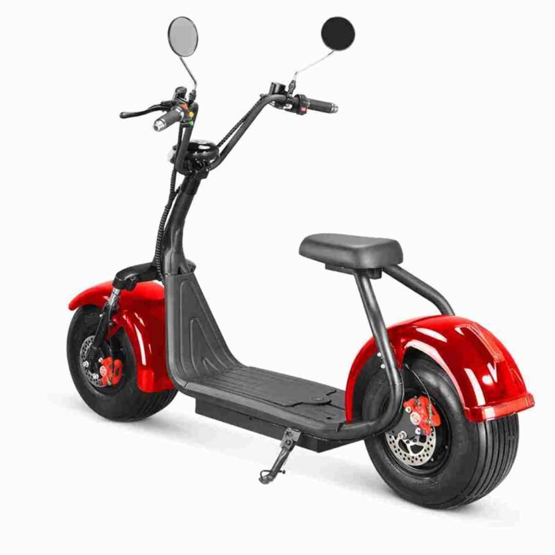 Citycoco Electric Scooter 2000w