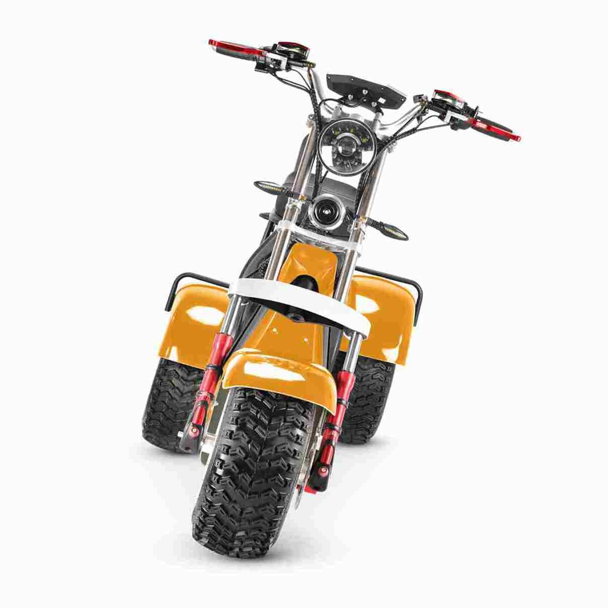 Citycoco Scooter 2000w