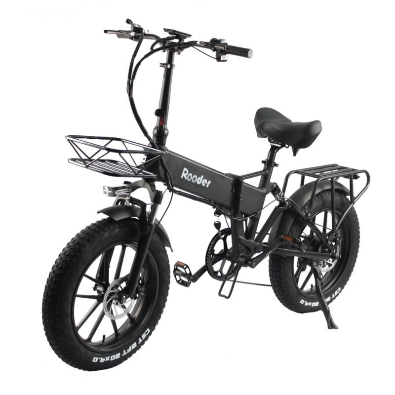 Dual Motor Electric Cycle Rooder r809-s5