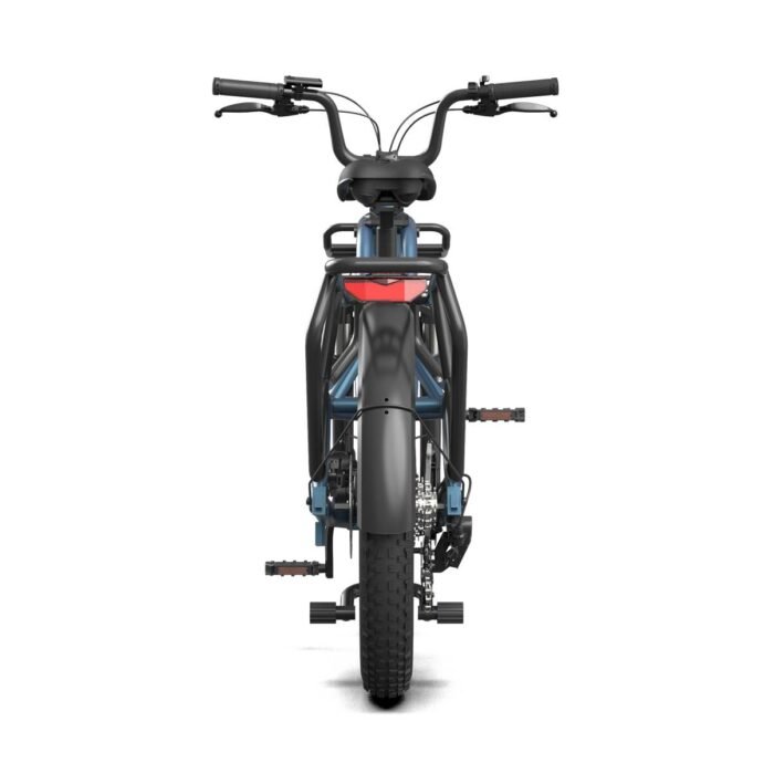 Electric Bike Cappu for Food Delivery