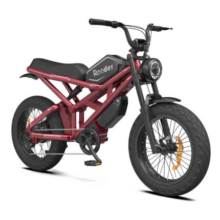 Mocha Electric Bike 48V 750W 35Ah