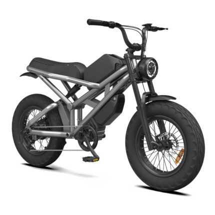 Rooder Mocha Electric Bikes 1000w 35ah for sale