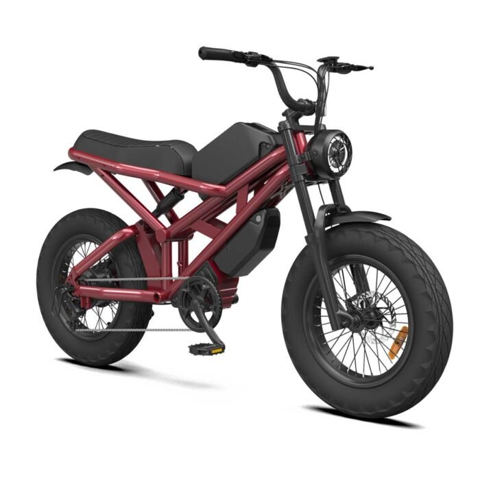 Rooder Mocha Electric Bikes 1000w 35ah for sale