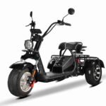Rooder Tricycle Citycoco 2000w 40ah Wholesale