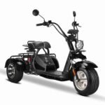 Rooder Triciclo Citycoco 2000w 40ah Venta al por mayor