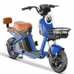 citycoco electric bike rooder jy-01 1000w 20ah
