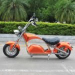 mangostán scooters eléctricos m1p m1ps 30ah 50ah al por mayor