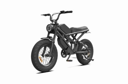 16 Folding Electric Bike