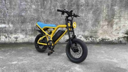 2 person electric bike