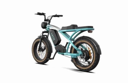 2 wheel drive electric bike