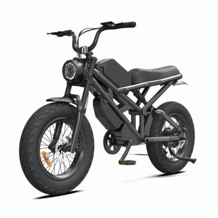 20-Zoll-E-Bike