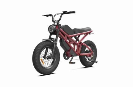 24 Electric Bike