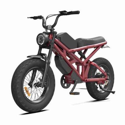 24 inch electric bike