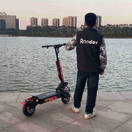 3 Wheel Electric Scooter Stand Up