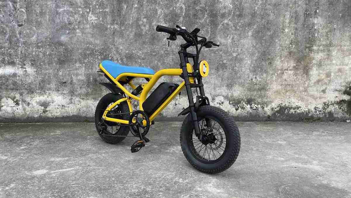 3 wheel electric bikes for seniors