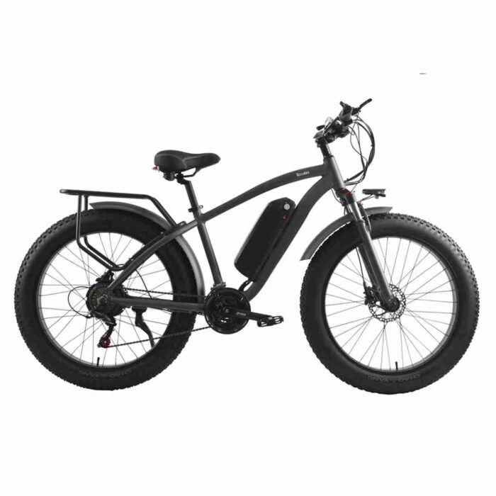 Big Tire Electric Bicycle